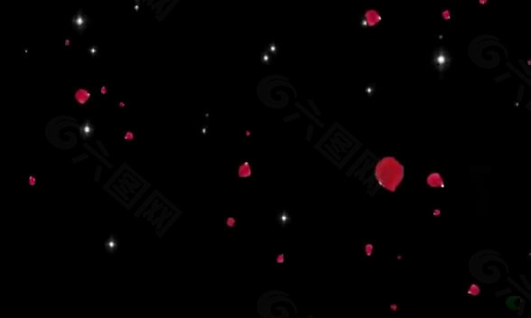 红色飘落玫瑰花瓣视频