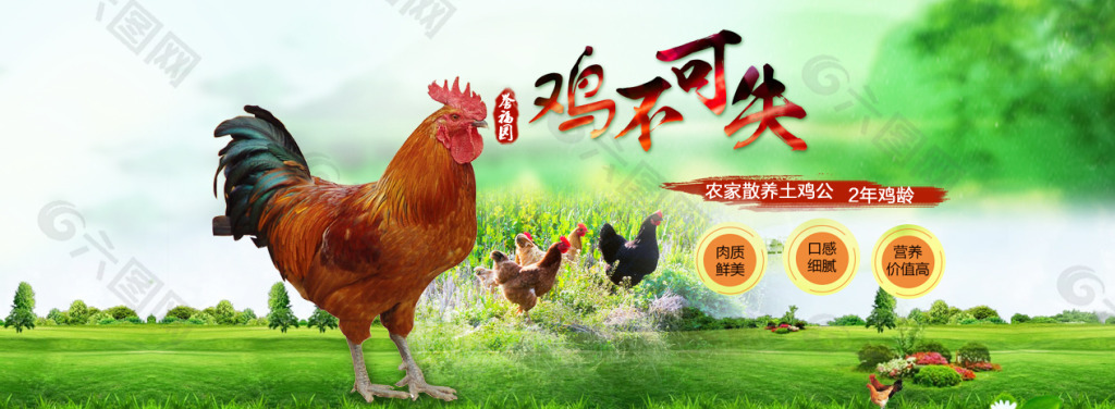 土窑鸡宣传图片图片