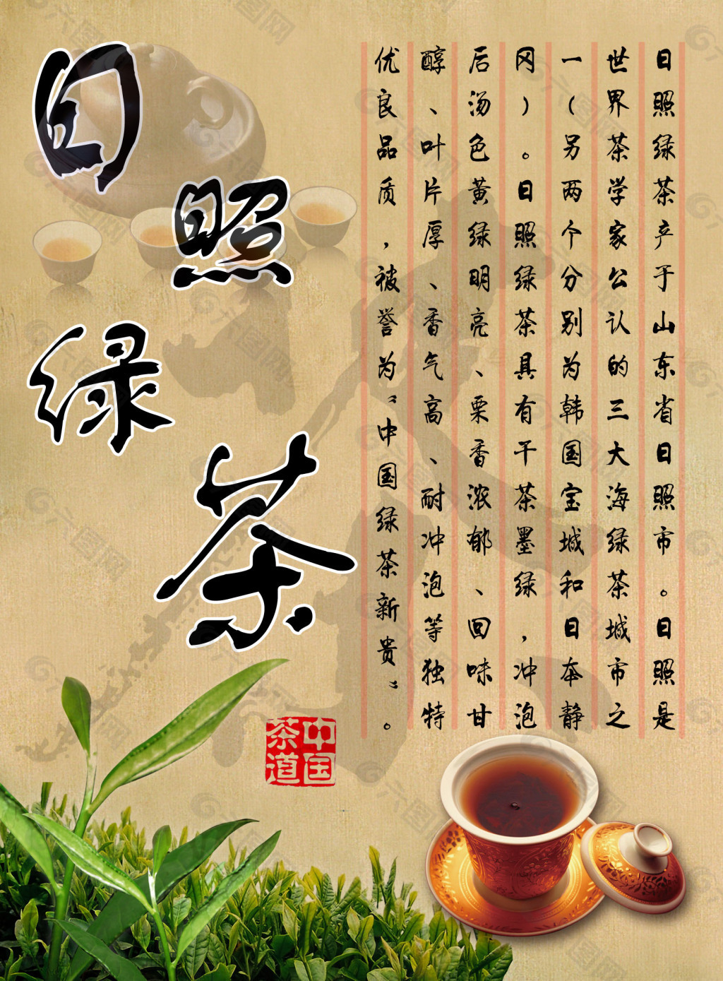 日照绿茶