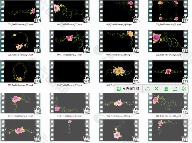 21段花朵生长设计元素视频素材
