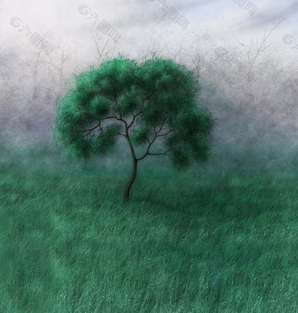 抽象树背景图