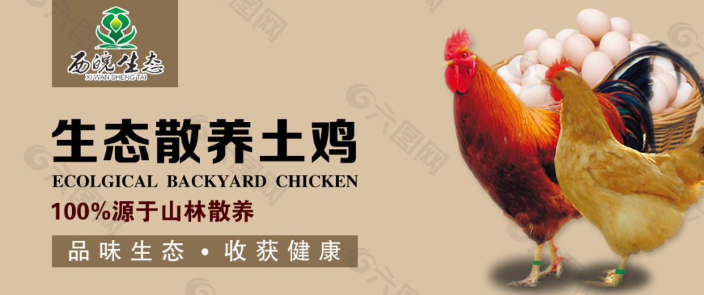 鸡平面广告素材免费下载(图片编号:4996378)