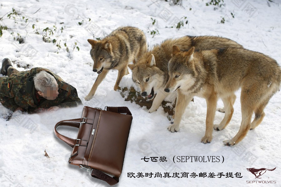 七匹狼真皮商务男士手提包平面广告设计