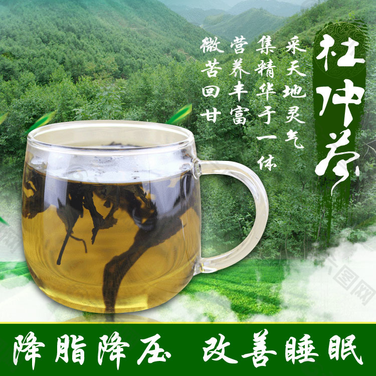 淘宝主图杜仲茶茶叶