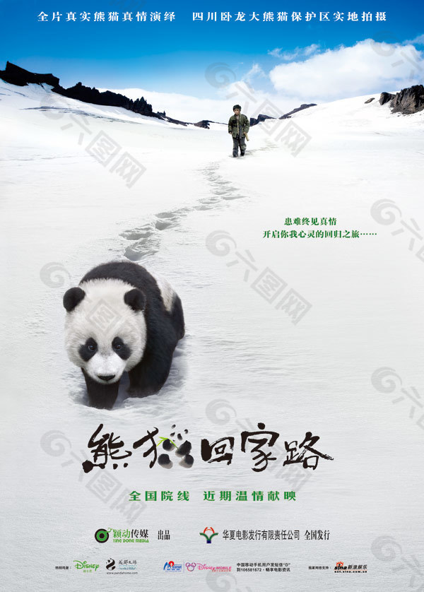 熊猫回家路电影海报设计免费下载