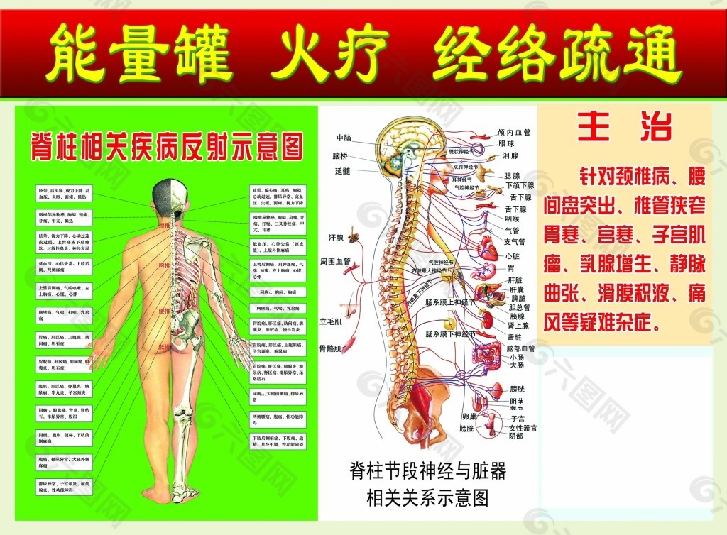 高清经络图