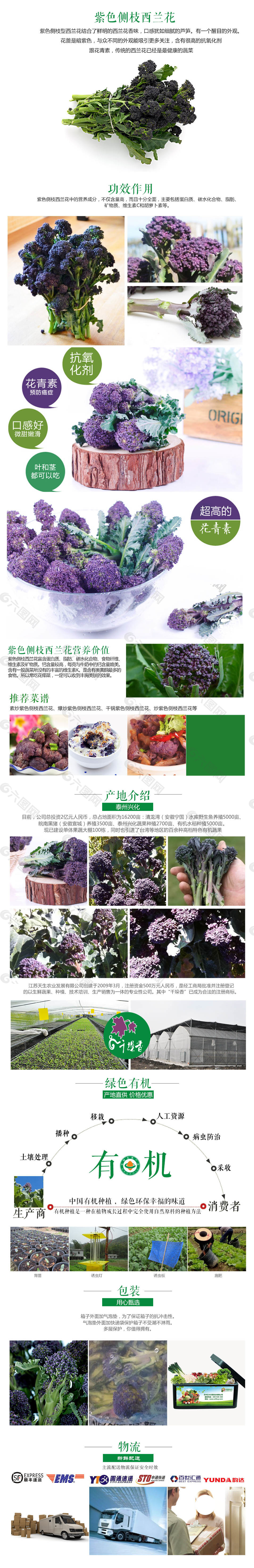 有机蔬菜蔬菜类设计高清PSD源文件下载