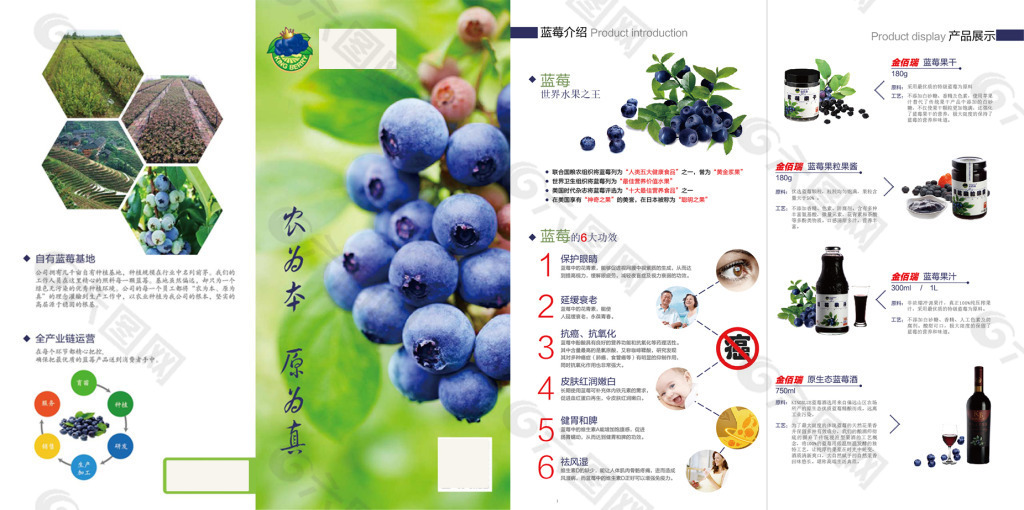 折页 蓝莓 产品介绍