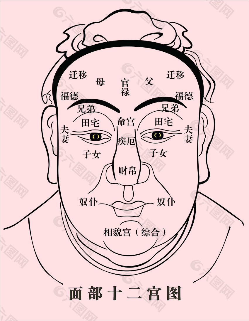 人体面相面部十二宫矢量图