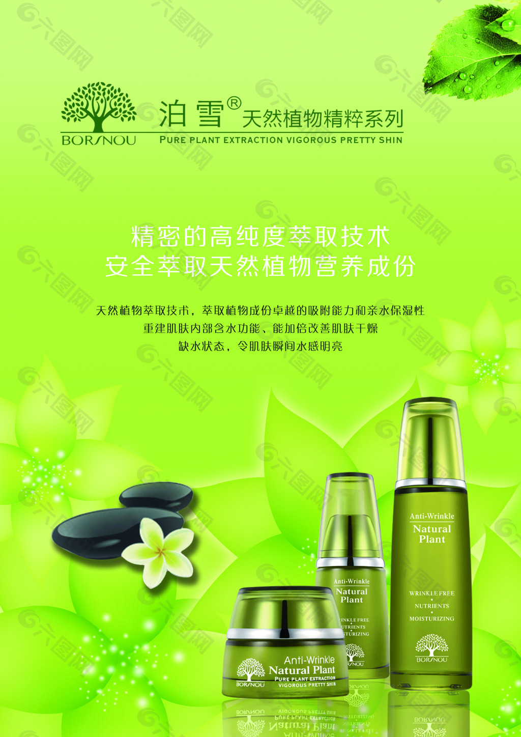 泊雪天然植物精粹