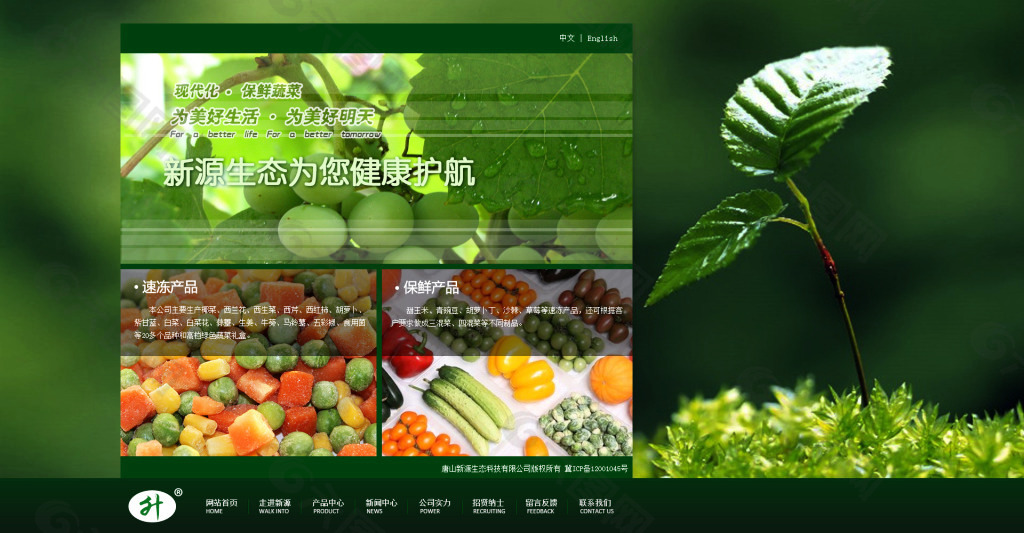 蔬菜制品网站设计