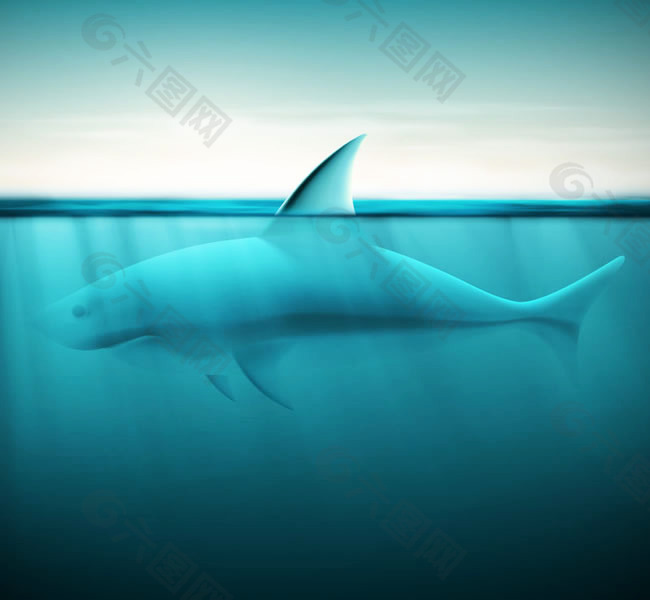 鲨鱼设计矢量素材