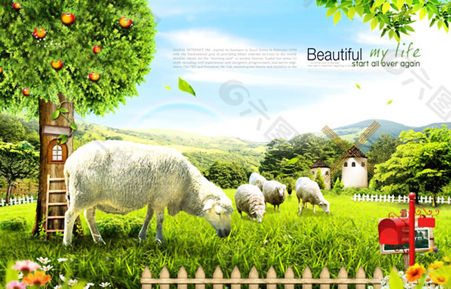 草原上的羊群图片psd分层素材