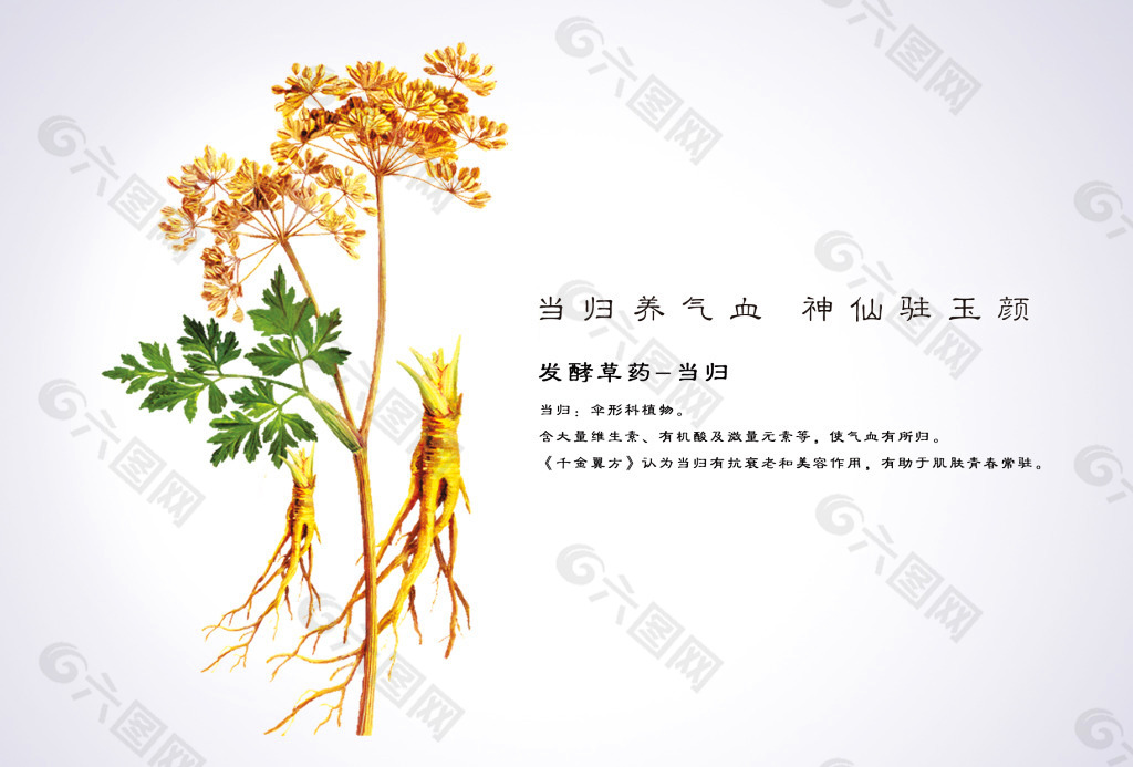 清新照片墙海报