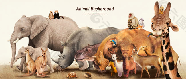 野生动物园插画PSD素材