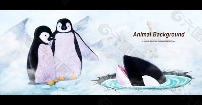 企鹅插画图片PSD分层素材