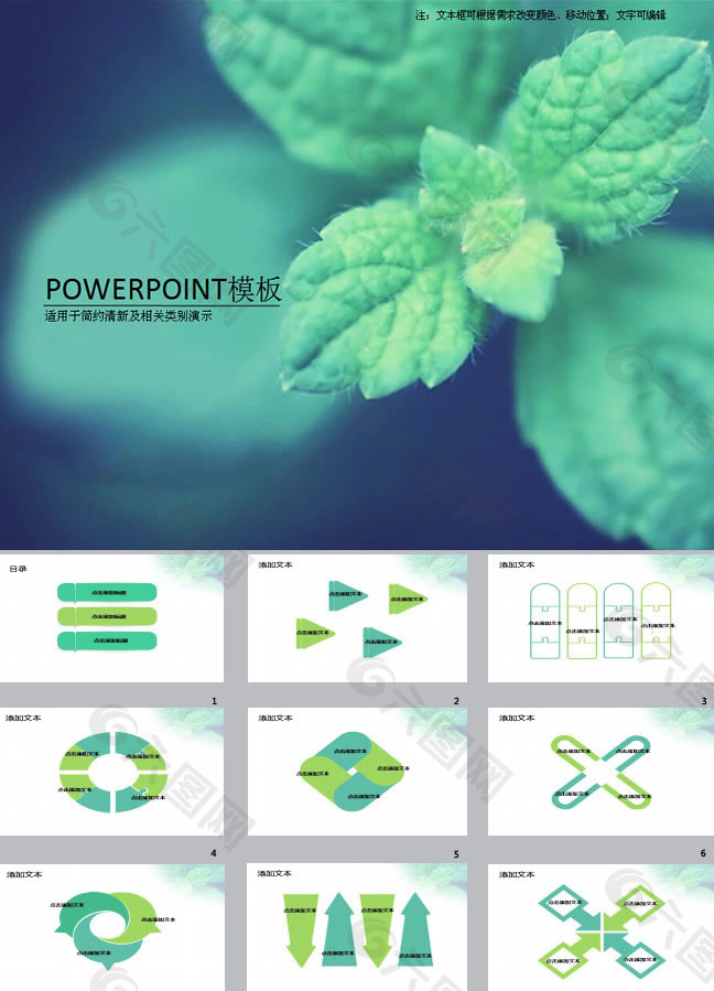 清新薄荷叶ppt背景图片下载
