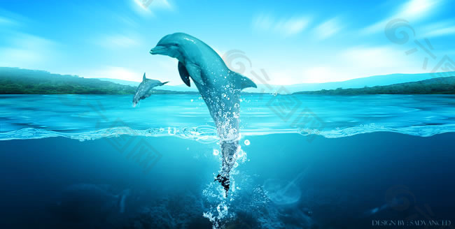 跳跃的海豚图片PSD分层素材