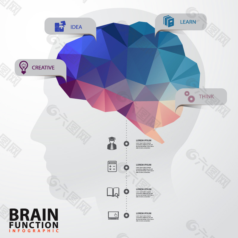 大脑功能信息图矢量素材