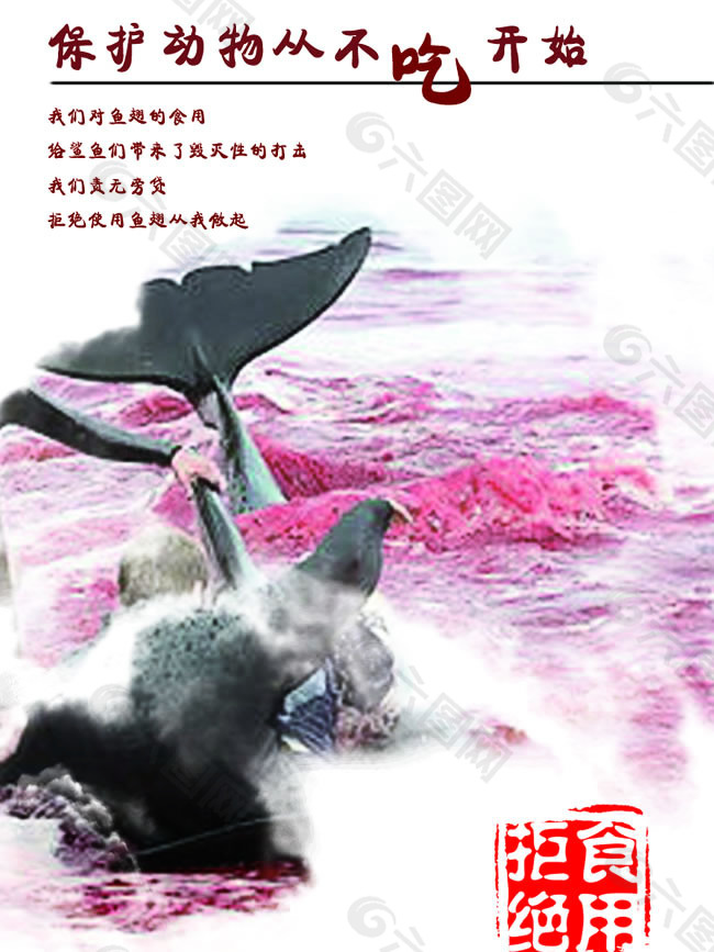 保护野生动物公益海报PSD素材
