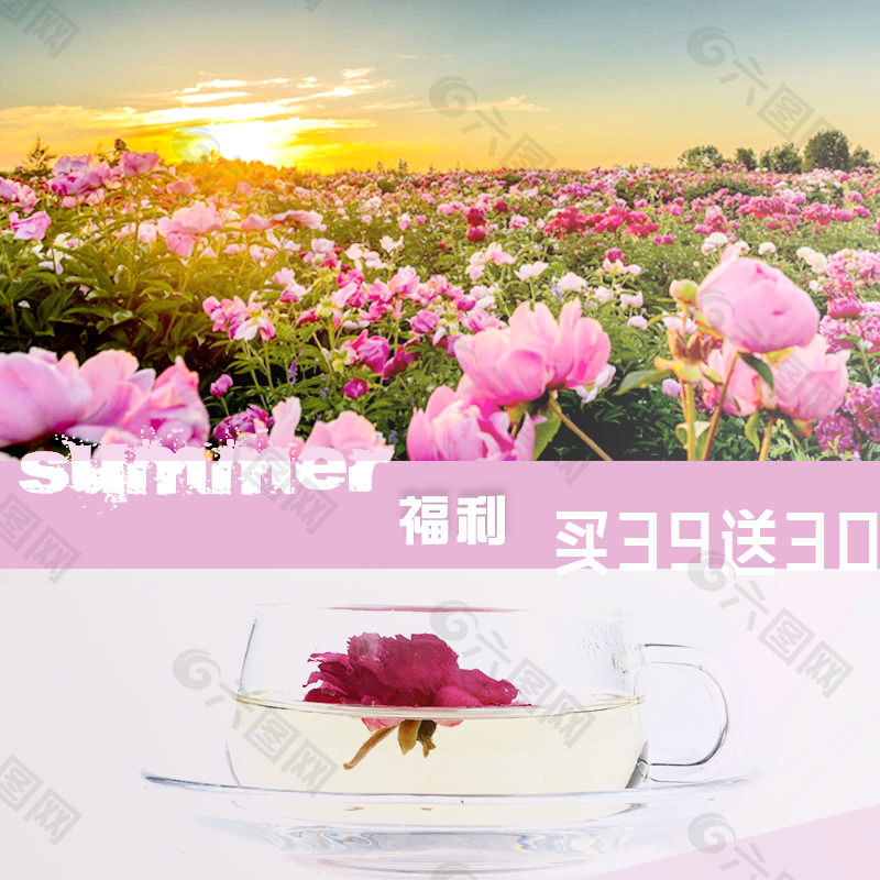 玫瑰花茶800*800推广图