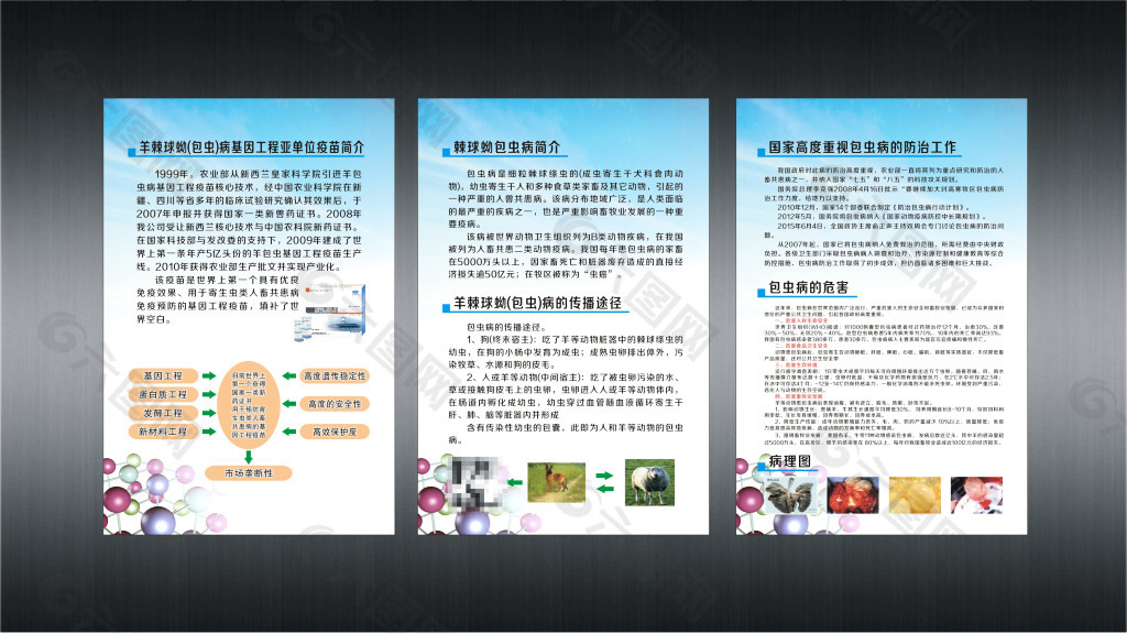 包虫病 宣传画册图片