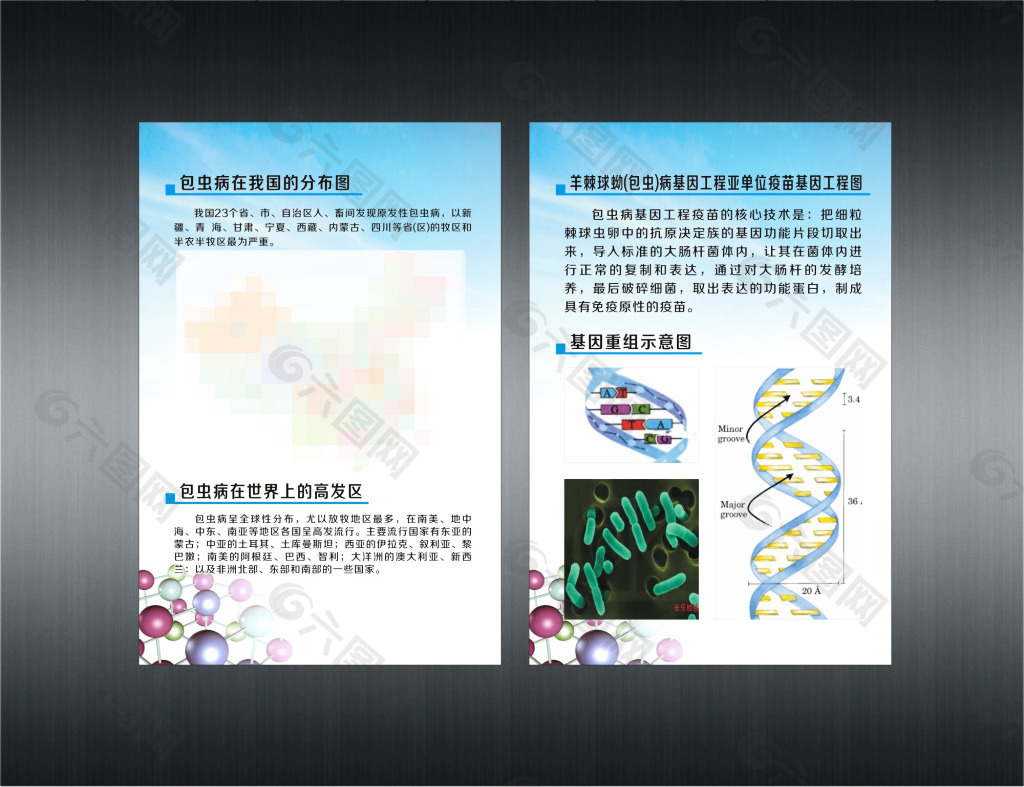包虫病展板