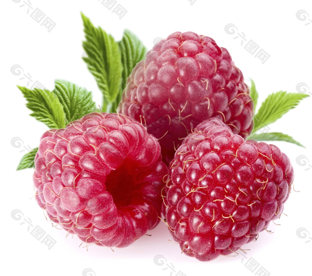 高清树莓png图片素材下载