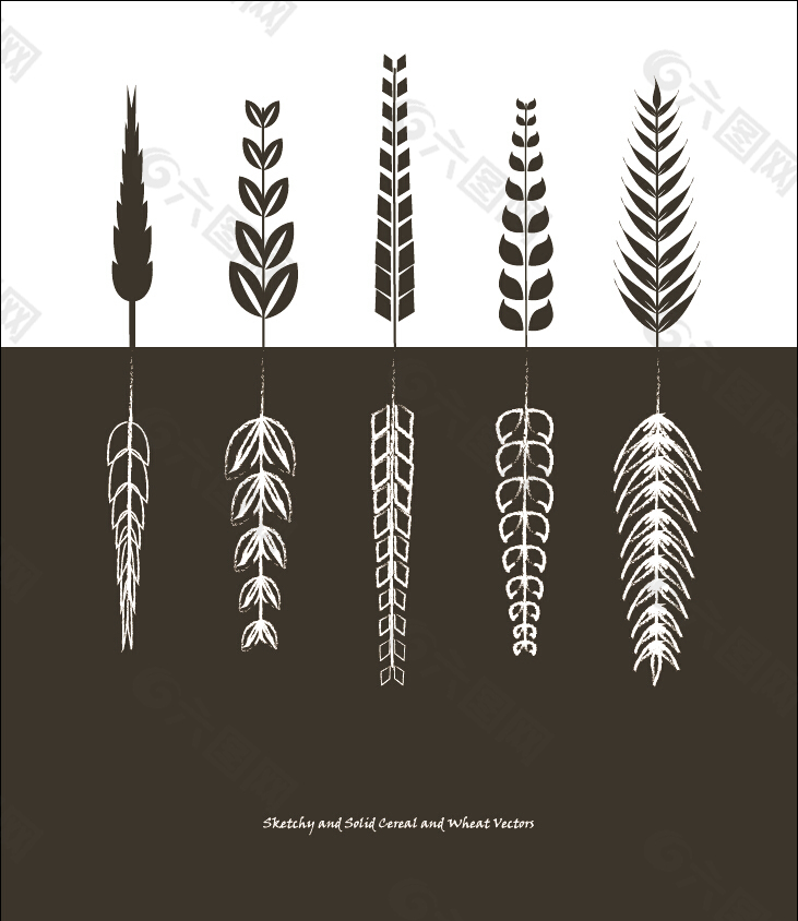 谷物和小麦简笔画矢量素材