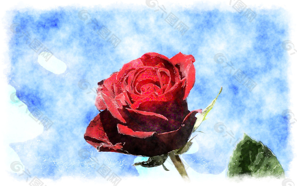 高清水彩玫瑰花背景图片下载