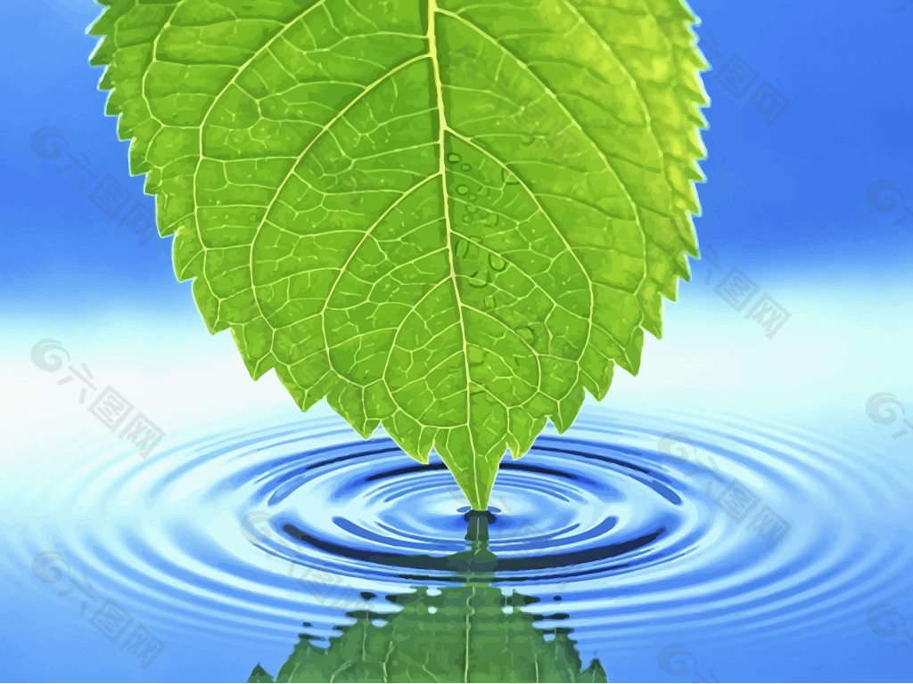 大自然叶子绿叶在水上点泛起微波波纹水波