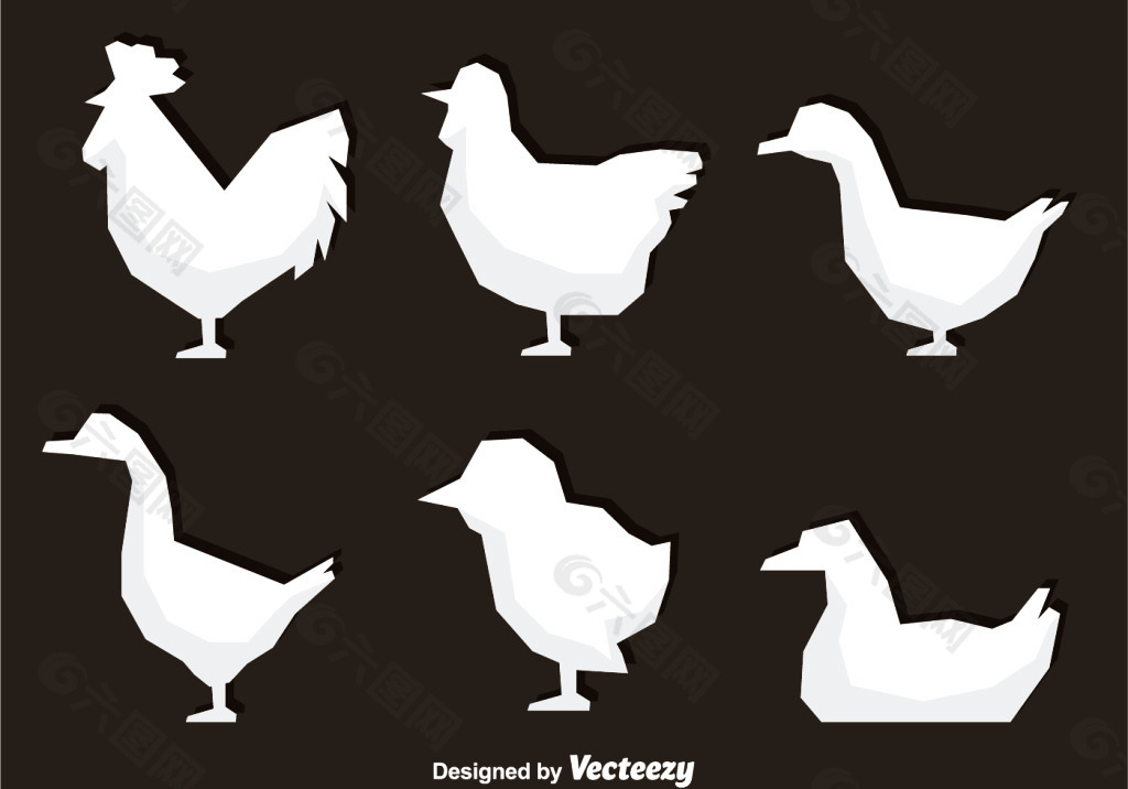 禽类设计图