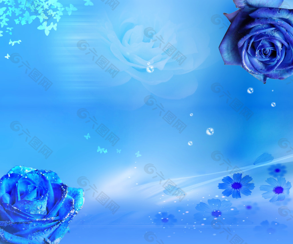 蓝玫瑰图片素材-编号13427195-图行天下