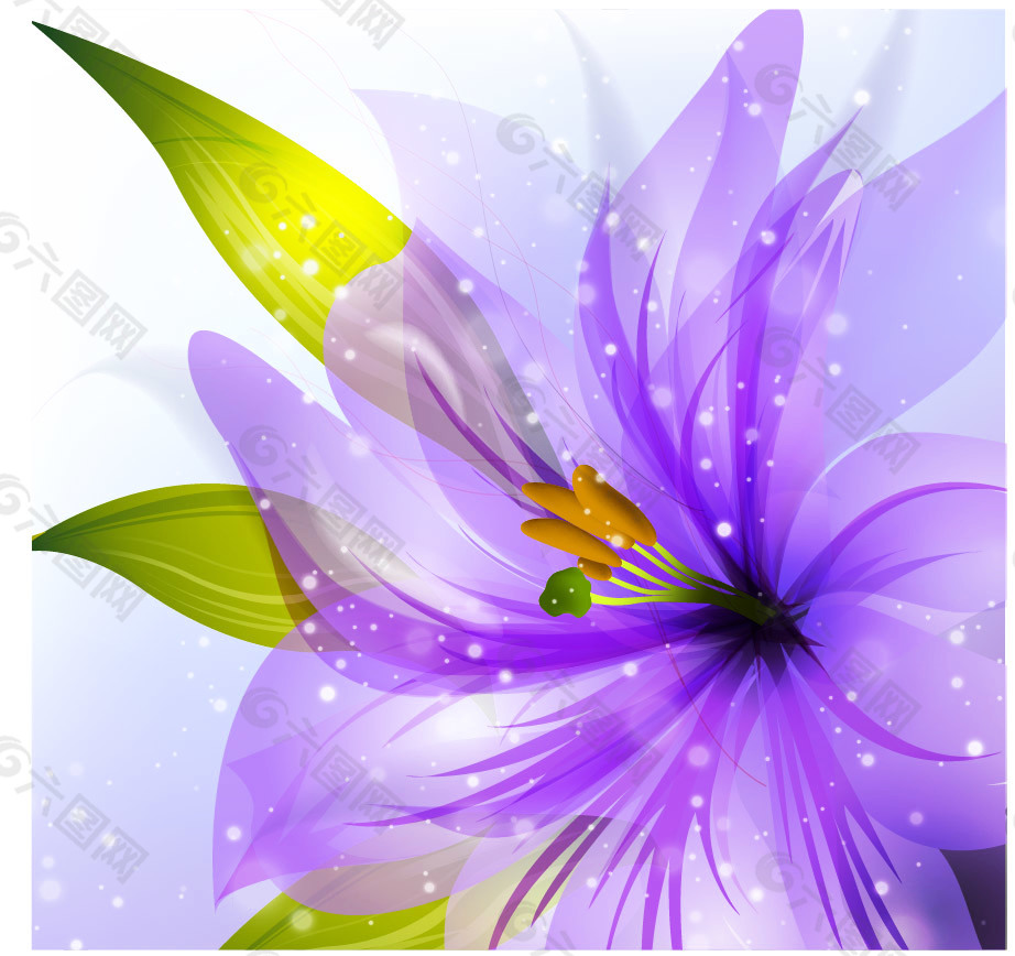 淡紫色透明花纹