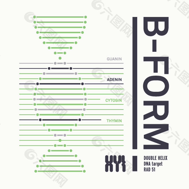 螺旋 B-FORM