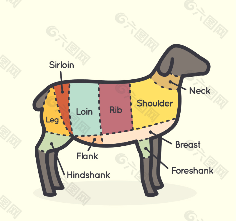 羊肉部位分割矢量素材