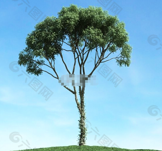 一颗树3d模型下载