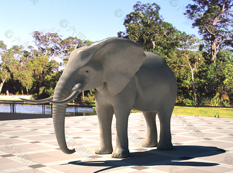 大象图片