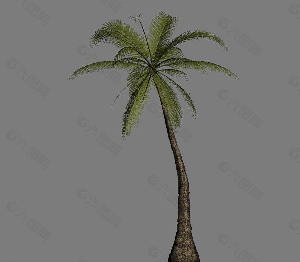 热带树3D模型图片