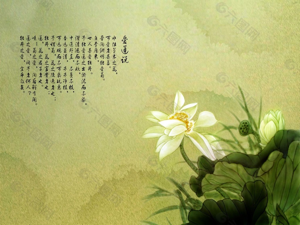 莲花素材