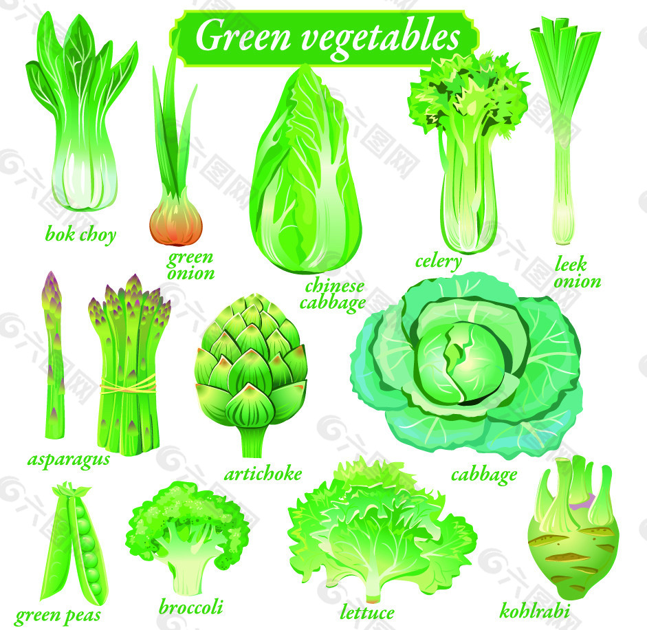 绿色蔬菜青菜白菜
