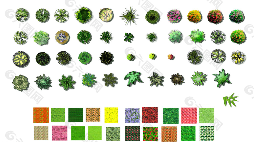 彩色植物平面图图片