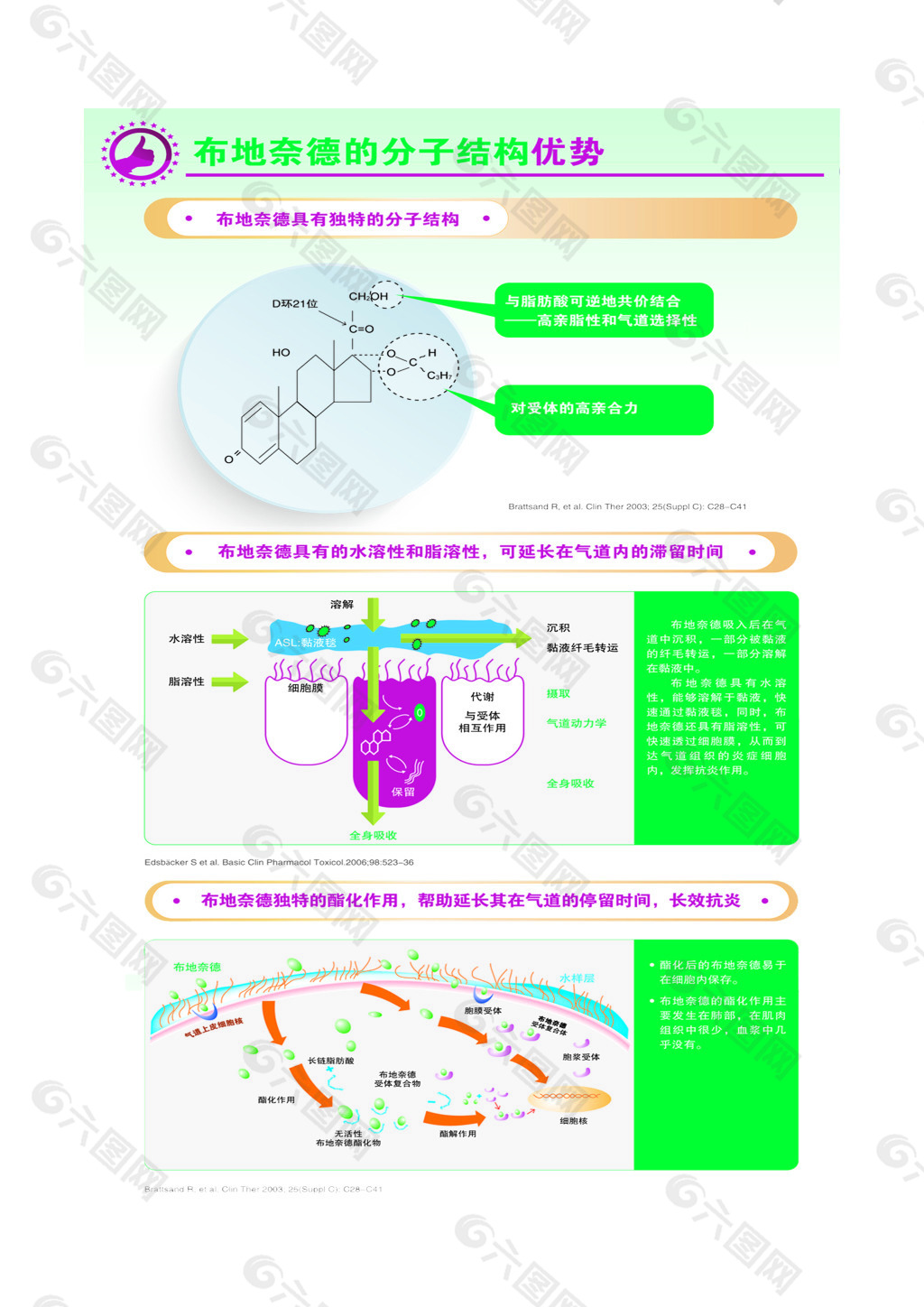 医院海报普及单页