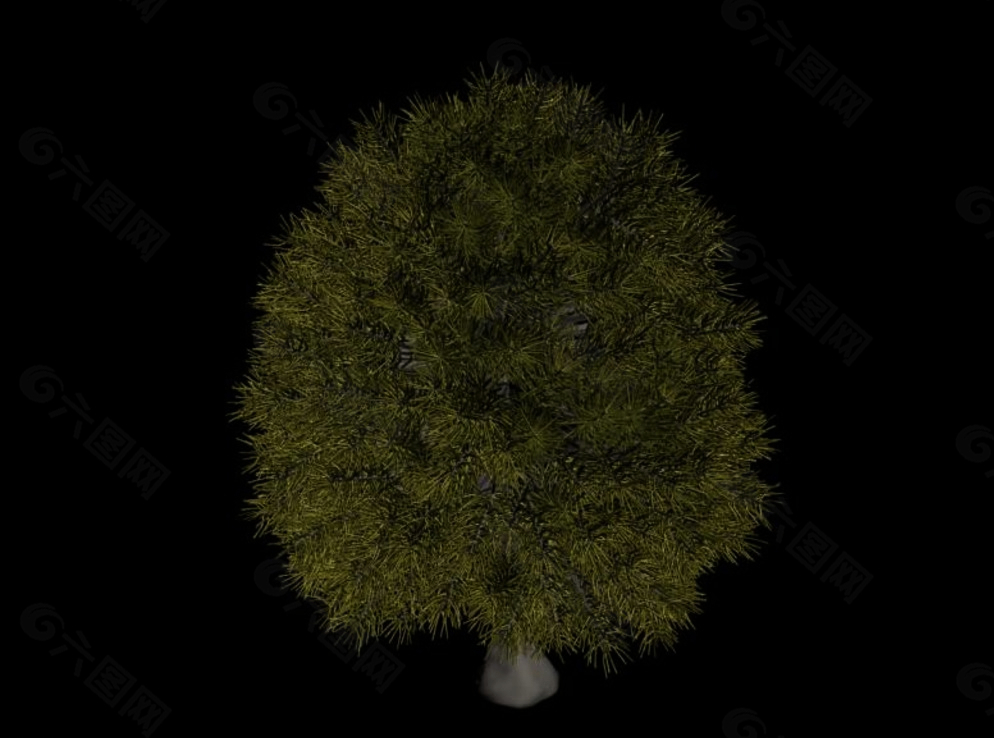 树3D模型图片