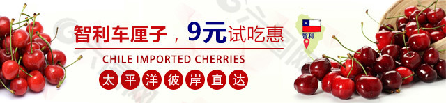 智利车厘子banner