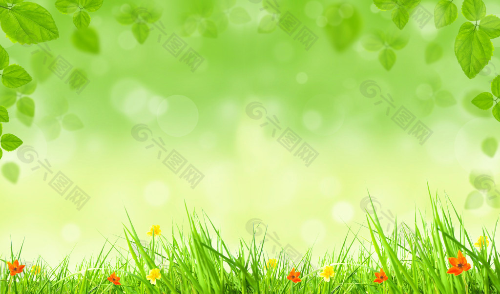 花草绿叶春天气息背景高清图片