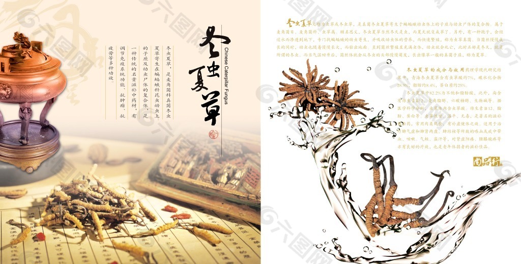 中国古典风冬虫夏草海报画册