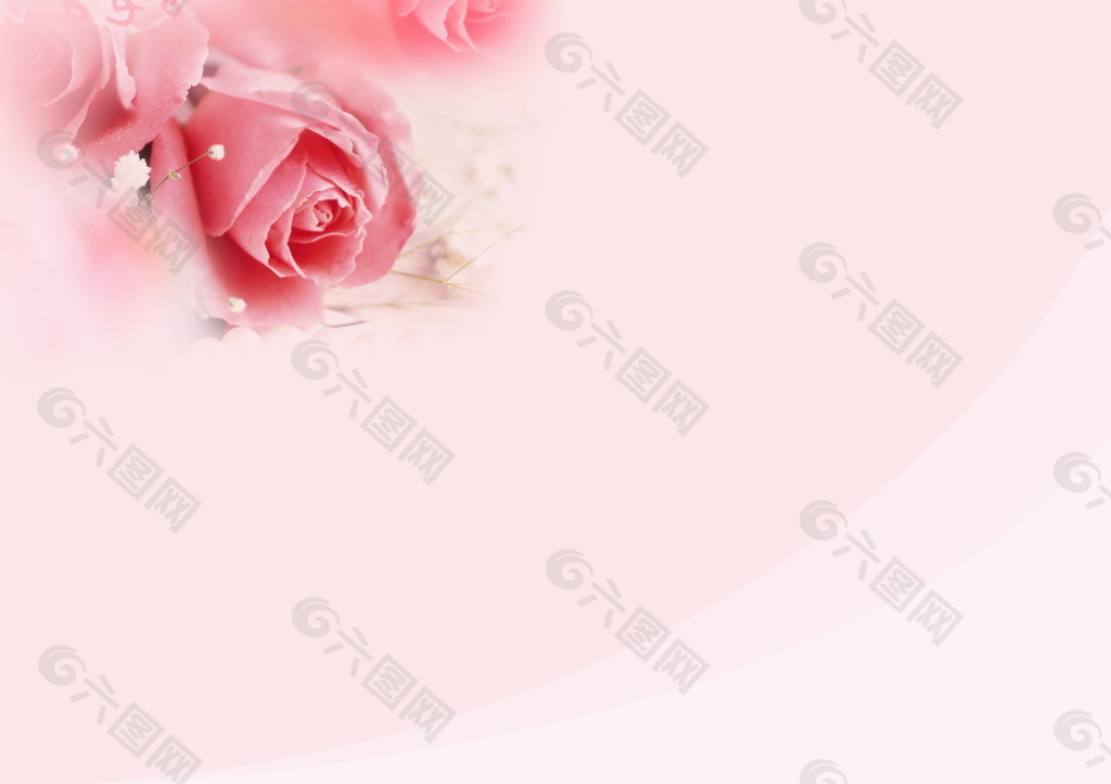 玫瑰花底纹背景图片背景素材免费下载 图片编号 六图网