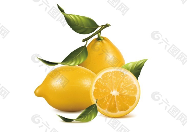 高清柠檬大图