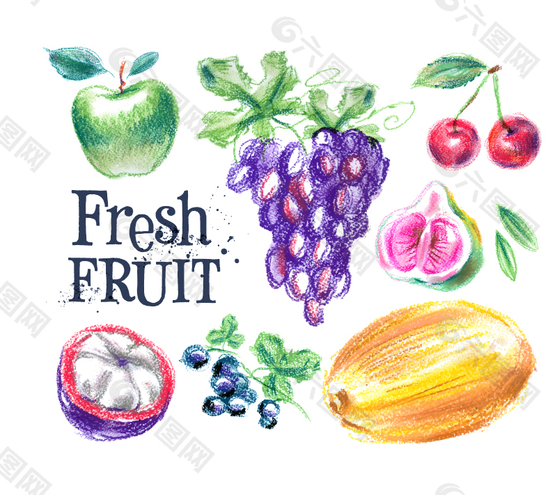 彩绘新鲜水果矢量图片
